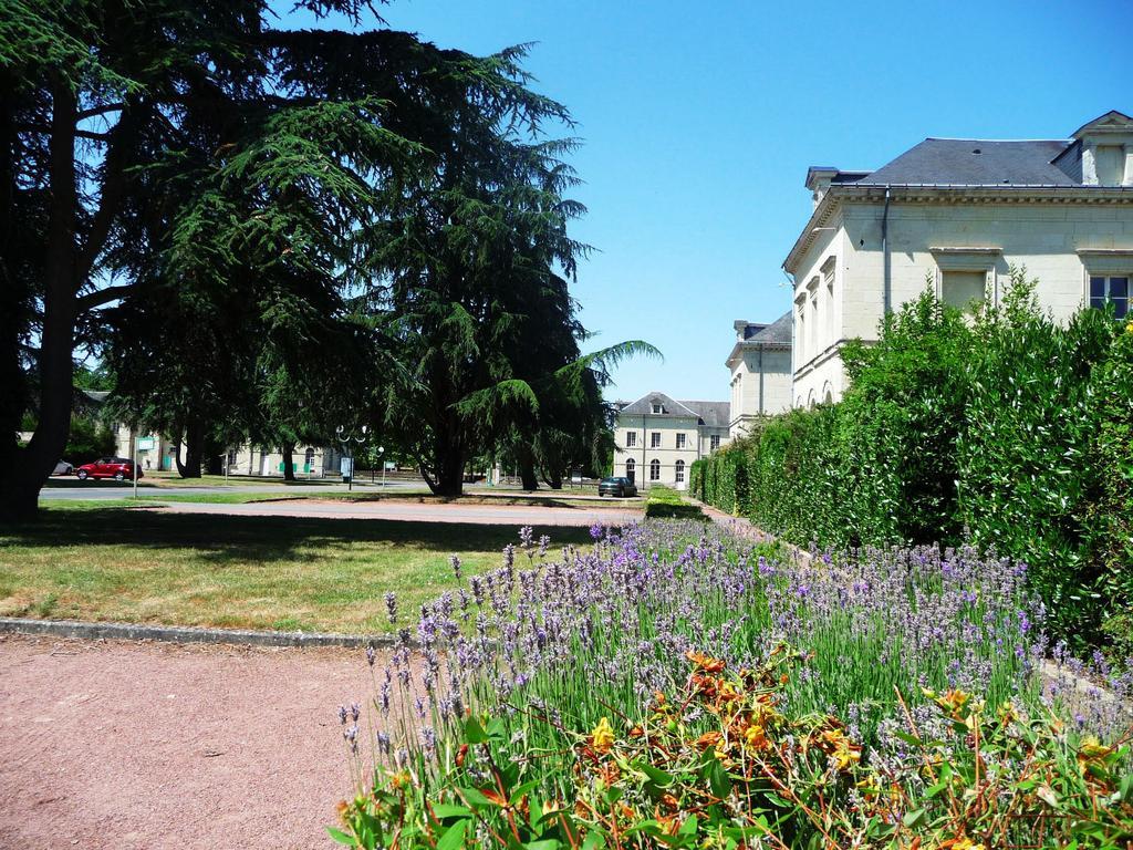 Domaine De Roiffe Hotel Екстериор снимка