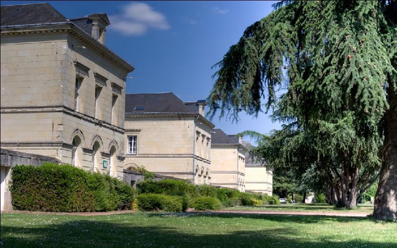 Domaine De Roiffe Hotel Екстериор снимка